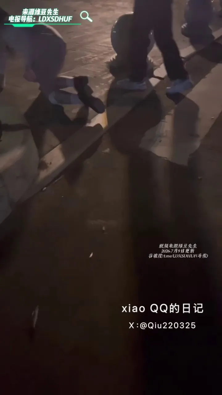 xiaoQQ的日记 顶级露出白虎萝莉 7月10日更新 出色的母狗就是要会侍奉主人，同时主人的朋友也无区别对待，双双内射后，牵出门玩玩 [0P1V-425MB]